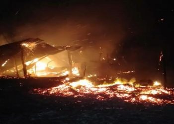 तळेगाव बाजार येथे जनावरांसह दोन गोठे जळून खाक,शेतकऱ्याचे आर्थिक नुकसान