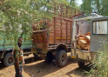 अकोट वर्तुळ क्षेत्रात अवैधरित्या वृक्षतोड करू वाहतूक करणारी टोळी गजाआड,तीन आरोपीना अटक