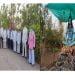 नोकरीतुन कार्यमुक्त झालेल्या ७५ वर्षीय वृद्धांची कमाल,दानापूरची स्मशानभूमी बनवली पर्यटन स्थळ