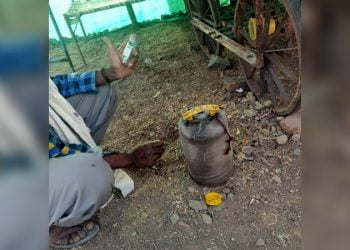 अकोट तालुक्यातील टाकळी बु. येथे दारूची अवैध विक्री जोरात,पोलिसांचे दुर्लक्ष