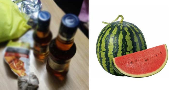 watermelon kharra yavatmal news
