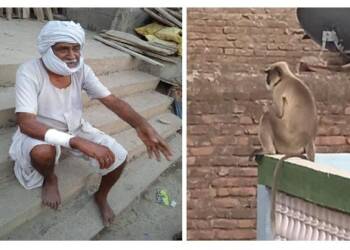 рд╣рд┐рд╡рд░рдЦреЗрдб рд╡рд╛рд╕реАрдпрд╛рдВрдЪреНрдпрд╛ рдЪрд┐рдВрддреЗрдд рднрд░ “рддреНрдпрд╛” рдХрд╛рд│реНрдпрд╛ рдорд╛рдХрдбрд╛рдореБрд│реЗ рд╕рдВрдкреВрд░реНрдг рд╢рд╣рд░рд╡рд╛рд╕реА рдзрд╛рд╕реНрддрд╛рд╡рд▓реЗ