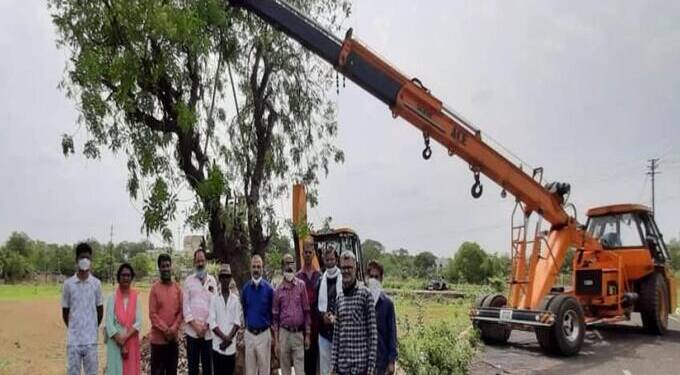 Tree plantation