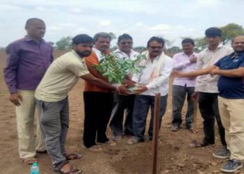 मा.आमदार अमोल मिटकरी यांचा वाढदिवस वृक्षारोपण करून साजरा