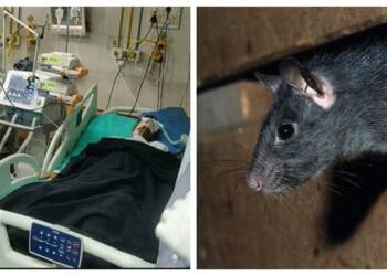 ICU рдордзреНрдпреЗ рдЕрд╕рд▓реЗрд▓рд╛ рддрд░реБрдг рдпреБрд╡рдХрд╛рдЪрд╛ рдЙрдВрджрд░рд╛рдиреЗ рдбрд╛реЗрд│рд╛ рдХреБрд░рддрдбрд▓реНрдпрд╛рдиреЗ рдореГрддреНрдпреВ