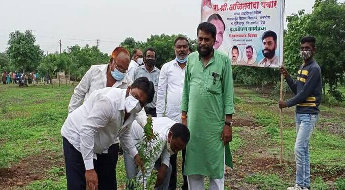भाऊसाहेब बिडकर विद्यालय अनभोरा येथे वृक्षारोपण