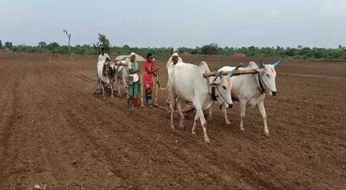Farmer