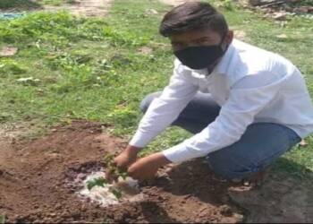 पत्रकार समाजसेवक पूर्णाजी  खोडके यांनी आपला वाढदिवस वृक्षारोपण करून साजरा करण्यात आला..