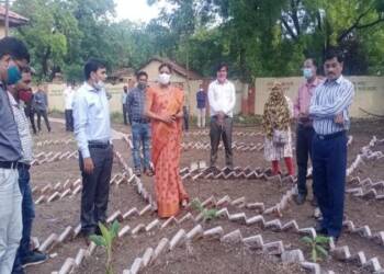 ‘рдЙрдореЗрдж’рдЪреА рдЬрд┐рд▓реНрд╣рд╛рд╕реНрддрд░реАрдп рднрд╡реНрдп рдкреНрд░рджрд░реНрд╢рдиреАрдп рдкрд░рд╕рдмрд╛рдЧ: рдкрд░рд╕рдмрд╛рдЧреЗрддреАрд▓ рднрд╛рдЬреАрдкрд╛рд▓рд╛ рдЙрддреНрддрдо рдЖрд░реЛрдЧреНрдпрджрд╛рдпрдХ рдЖрд╣рд╛рд░- рд╕реМрд░рдн рдХрдЯреАрдпрд╛рд░