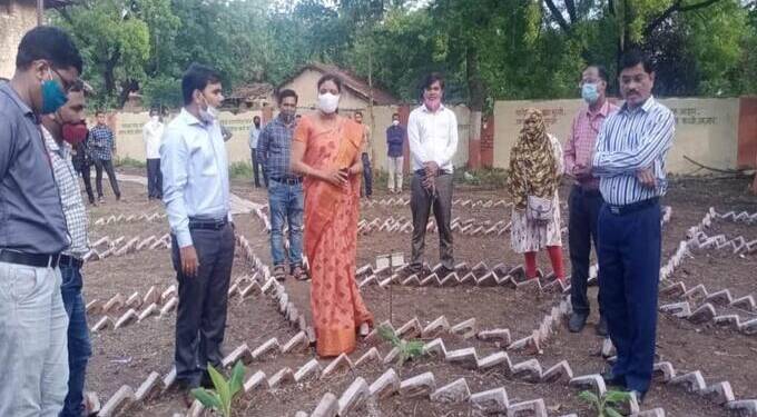 ‘उमेद’ची जिल्हास्तरीय भव्य प्रदर्शनीय परसबाग: परसबागेतील भाजीपाला उत्तम आरोग्यदायक आहार- सौरभ कटीयार