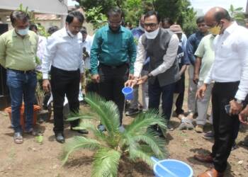 тАШрдПрдХ рдХрд░реНрдордЪрд╛рд░реА, рдПрдХ рд╡реГрдХреНрд╖тАЩ рдореЛрд╣рд┐рдо рд░рд╛рдмрд╡рд╛; рдЬрд┐рд▓реНрд╣рд╛рдзрд┐рдХрд╛рд░реА рдЬрд┐рддреЗрдВрджреНрд░ рдкрд╛рдкрд│рдХрд░ рдпрд╛рдВрдЪреЗ рдЖрд╡рд╛рд╣рди