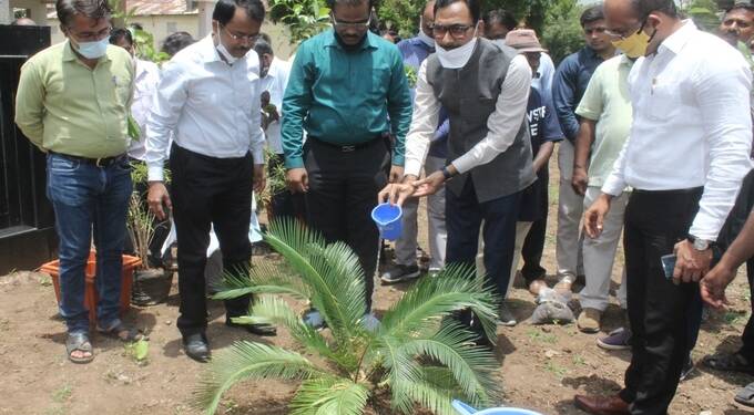 ‘एक कर्मचारी, एक वृक्ष’ मोहिम राबवा; जिल्हाधिकारी जितेंद्र पापळकर यांचे आवाहन