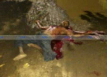 तळेगाव बाजार येथे भावनेच सपासप वार करून वाजविला भावाचा गेम, भावाचा मृत्यू