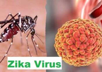 zika-virus