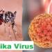 zika-virus