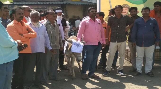 तेल्हारा शिवसेनेच्यावतिने गाढव