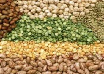 рд░рд╛рд╖реНрдЯреНрд░реАрдп рдЕрдиреНрди рд╕реБрд░рдХреНрд╖рд╛ рдЕрднрд┐рдпрд╛рдирдГ рдмрд┐рдпрд╛рдгреЗ,