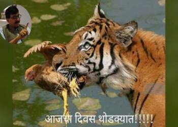 рд╕рдВрдЬрдп рд░рд╛рдКрддрд╛рдВрдиреА рдирд╛рд░рд╛рдпрдг рд░рд╛рдгреЗрдВрдирд╛ рдХреЛрдВрдмрдбреАрд╡рд░реВрди рдбрд┐рд╡рдЪрд▓реЗ!