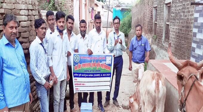 विद्यार्थ्यांच्या पुढाकारातून जनावरांचे लसीकरण संपन्न