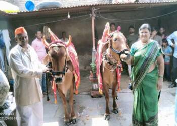 рддреЗрд▓реНрд╣рд╛рд░рд╛ рд╢рд╣рд░рд╛рдд рдкреЛрд│рд╛ рд╕рди рд╕рд╛рдзреНрдпрд╛ рдкрдзреНрджрддреАрдиреЗ рд╕рд╛рдЬрд░рд╛