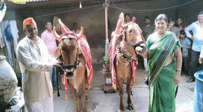 तेल्हारा शहरात पोळा सन साध्या पध्दतीने साजरा