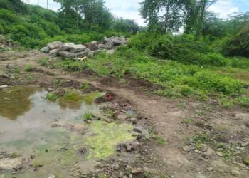 अकोल्यातील वॉर्ड अठरा मधील स्मशानभूमीत अस्वच्छता स्वच्छता करण्याची मागणी