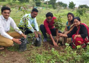 आ. किरणराव सरनाईक यांच्या वाढदिवसानिमित्त पातुर येथे वृक्ष संवर्धन सप्ताह