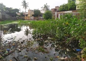 рдирд┐рдордВрддреНрд░рдг рдкрддреНрд░рд┐рдХрд╛ рдЫрд╛рдкреВрди рдЖрдпреБрдХреНрдд рдпрд╛рдВрдирд╛ рд╡рд╛рд░реНрдбрд╛рдЪреНрдпрд╛ рдкрд╛рд╣рдгреА рдХрд░рдгреНрдпрд╛рдХрд░рддрд╛ рдирд┐рдордВрддреНрд░рд┐рдд рдХрд░рдгрд╛рд░ – рдЙрдореЗрд╢ рд╕реБрд░реЗрд╢рд░рд╛рд╡ рдЗрдВрдЧрд│реЗ