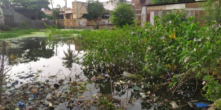 निमंत्रण पत्रिका छापून आयुक्त यांना वार्डाच्या पाहणी करण्याकरता निमंत्रित करणार – उमेश सुरेशराव इंगळे