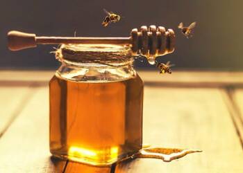 मध केंद्र योजनेचा लाभ घेण्याचे आवाहन