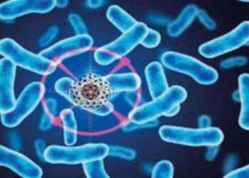 glanders disease