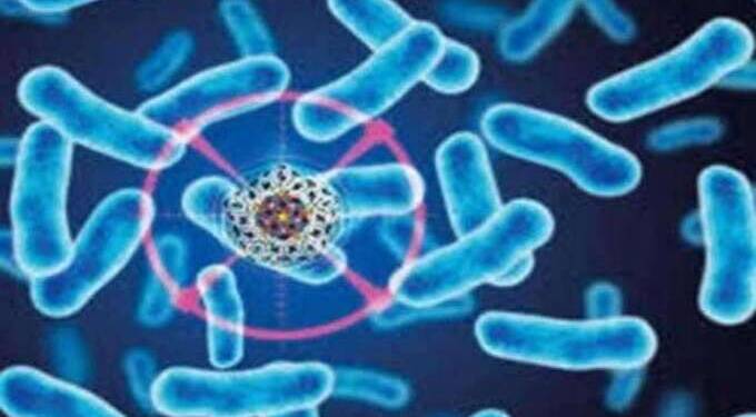 glanders disease