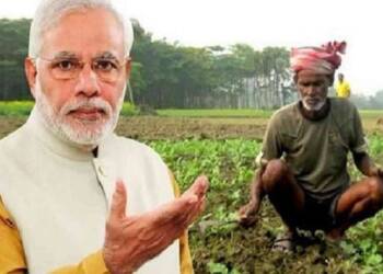 डबल धमाका ..! शेतकऱ्यांना पी. एम किसान योजनेचे मिळणार दोन हप्ते !