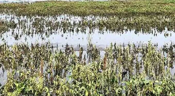 rain-affected-farmers