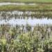rain-affected-farmers