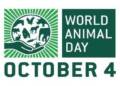world animal day