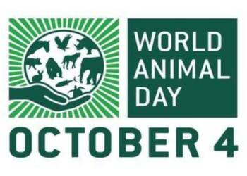 world animal day