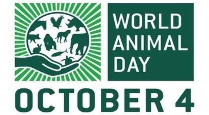 world animal day