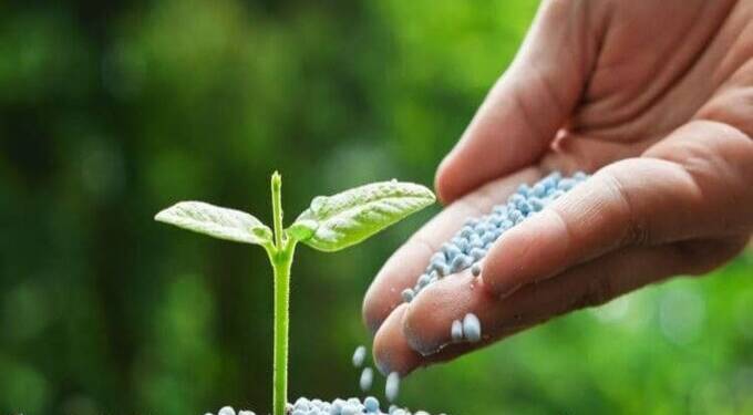 डीएपी खताऐवजी पर्यायी संयुक्त खताचा वापर करा; कृषि विभागाचे आवाहन