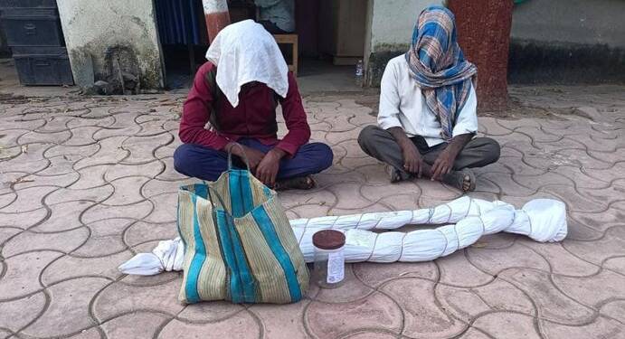 ब्रेकिंग- पोलिस अधीक्षकांच्या मार्गदर्शनाखाली विषेश पथकाने पातुर तालुक्यात पकडला ३किलो  गांजा.. २आरोपीस अटक