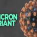 Omicron variant