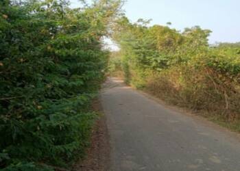 рдзрд╛рд░реБрд│ рддреЗ рд░рд╛рдорд╛рдкреБрд░ рд░реЛрдбрд╡рд░реАрд▓ рдХрд╛рдЯреЗрд░реА рдЭреБрдбрдкреЗ рджреЗрдд рдЖрд╣реЗрдд рдЕрдкрдШрд╛рдд рд▓рд╛ рдирд┐рдордВрддреНрд░рдг,рдкреНрд░рд╢рд╛рд╕рдирд╛рдЪреЗ рджреБрд░реНрд▓рдХреНрд╖