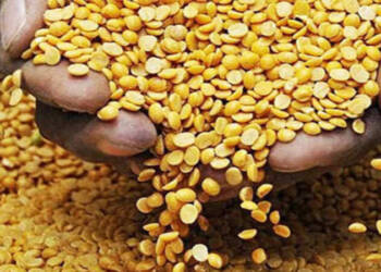 рддреБрд░реАрдЪреА рдЦрд░реЗрджреА рдХрд░рдгреНрдпрд╛рд╕рд╛рдареА рдСрдирд▓рд╛рдИрди рдиреЛрдВрджрдгреА