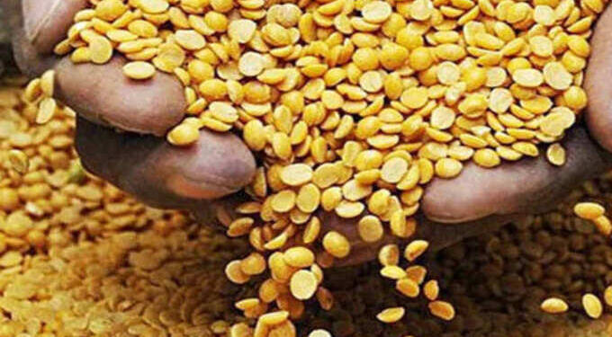 तुरीची खरेदी करण्यासाठी ऑनलाईन नोंदणी