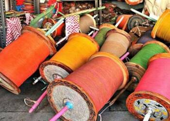 ‘नायलॉन’ मांजा वापर व विक्रीस प्रतिबंध; जिल्हाधिकाऱ्यांचे आदेश:दुखापतग्रस्त पक्षांना स्वयंसेवी संस्थेकडे उपचारार्थ सोपविण्याचे आवाहन