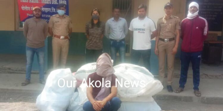 तेल्हाऱ्यात गुटखा विक्रेत्याच्या घरावर उपविभागीय पोलीस अधिकारी रितू खोकर यांचा छापा, पावणेदोन लाखाच्या गुटख्यासह एक आरोपी अटकेत