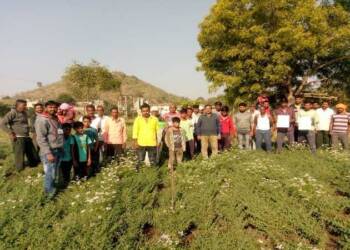 नानाजी देशमुख कृषी संजीवनी प्रकल्प अंतर्गत हवामान अनुकूल  तंत्रज्ञान शेतीशाळा संपन्न