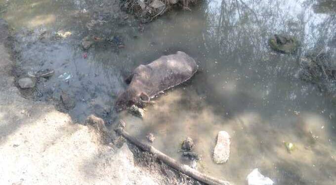 रिधोरा येथील नागरिकांचे दूषित पाण्यामुळे आरोग्य धोक्यात