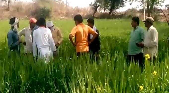 दानापुर परिसरात बिबट्याचे दर्शन शेतकरी व शेतमजुरांमध्ये भीतीचे वातावरण