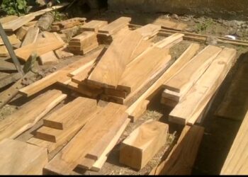 अकोटात वनविभागाची  अवैध सागवान मालावर धडाकेबाज़ कार्यवाही